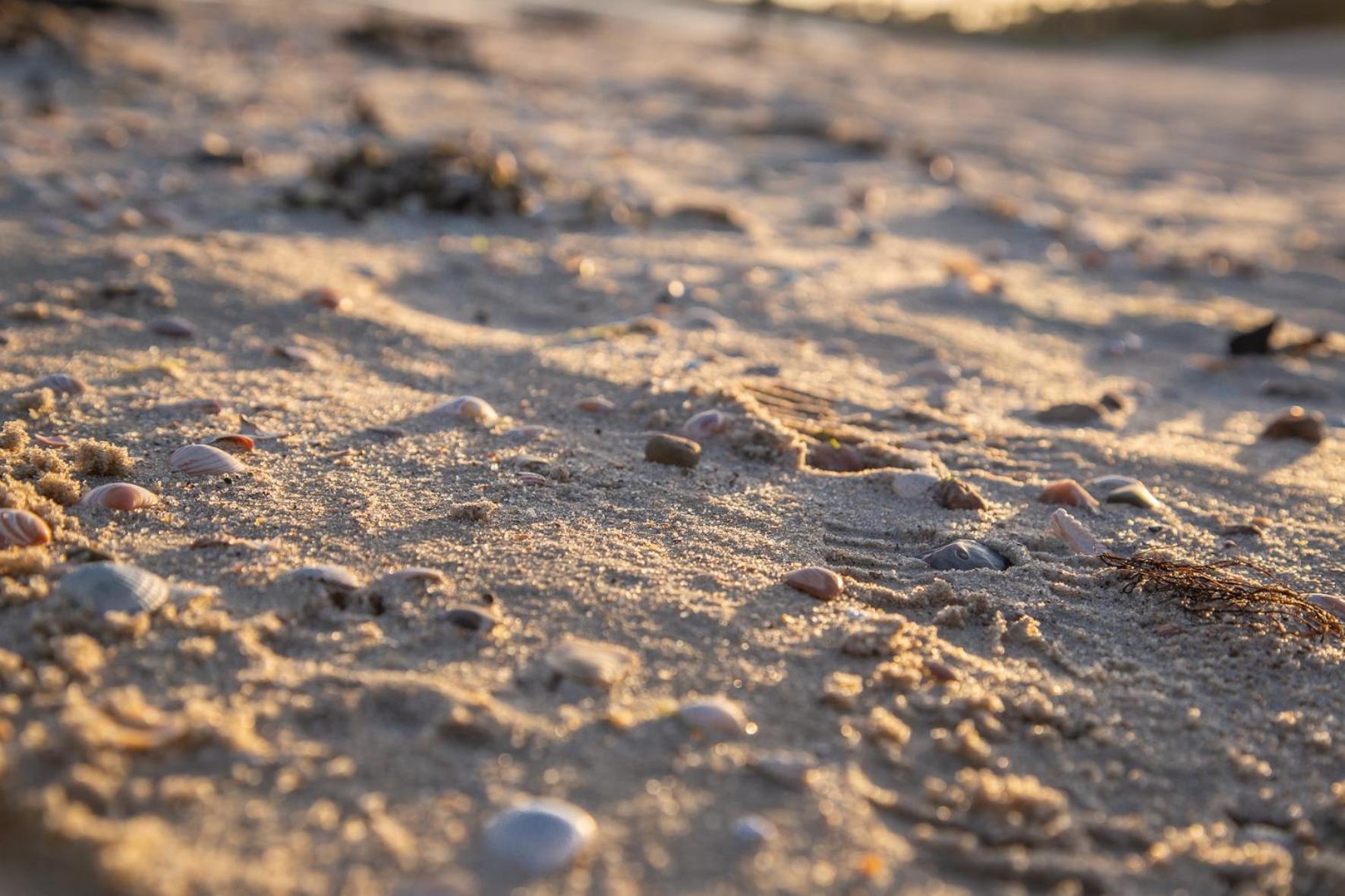 Wohnen Am Suedstrand - Ferienwohnung 1 1 Wyk auf Föhr Екстериор снимка